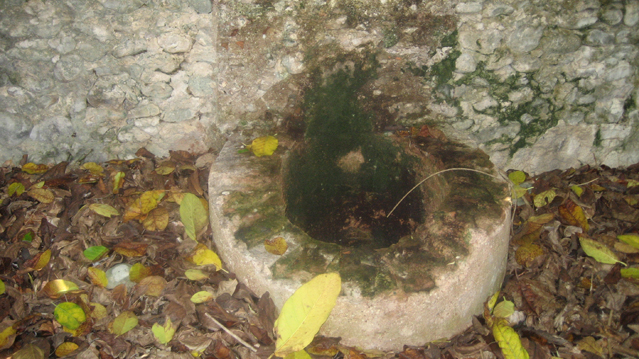 image26.jpg