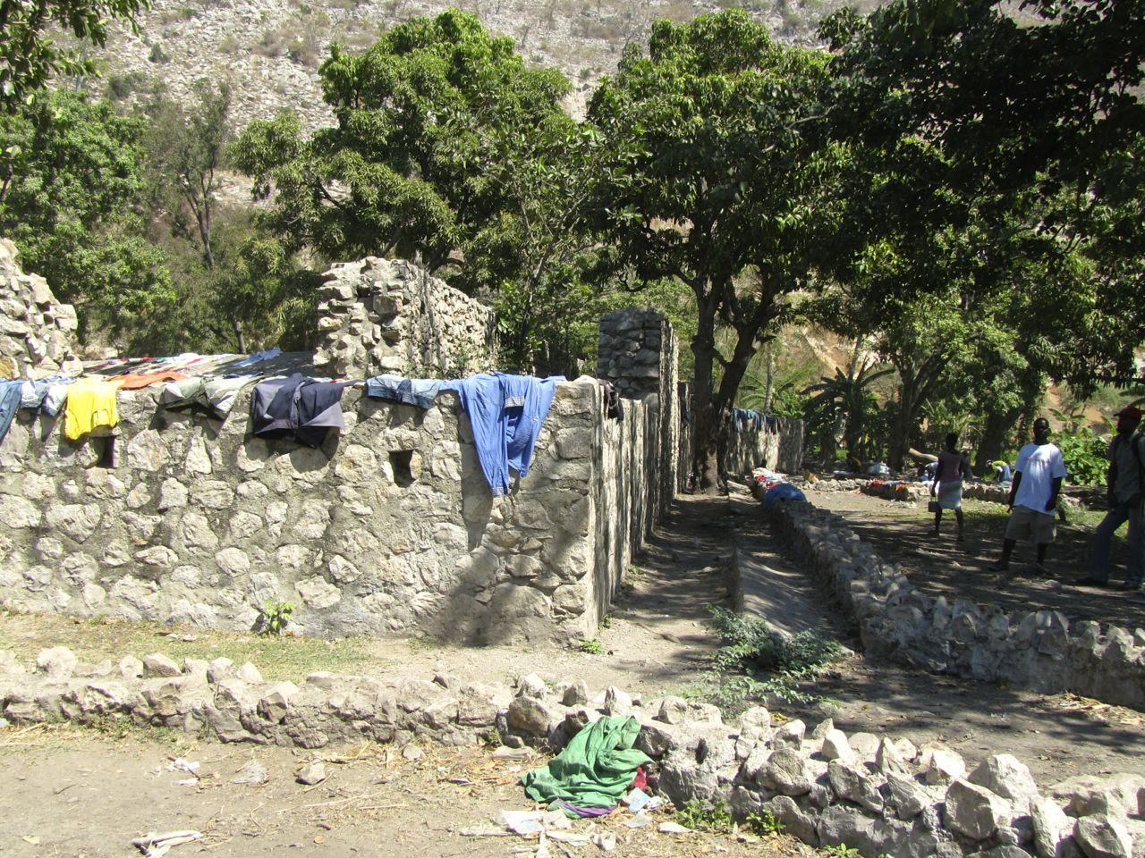 IMG_3368.jpg