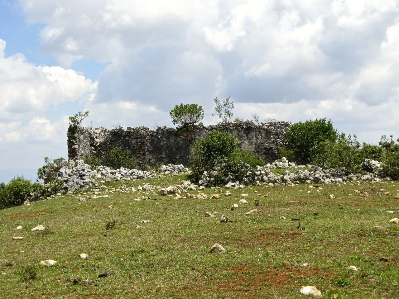 IMG_4040.jpg