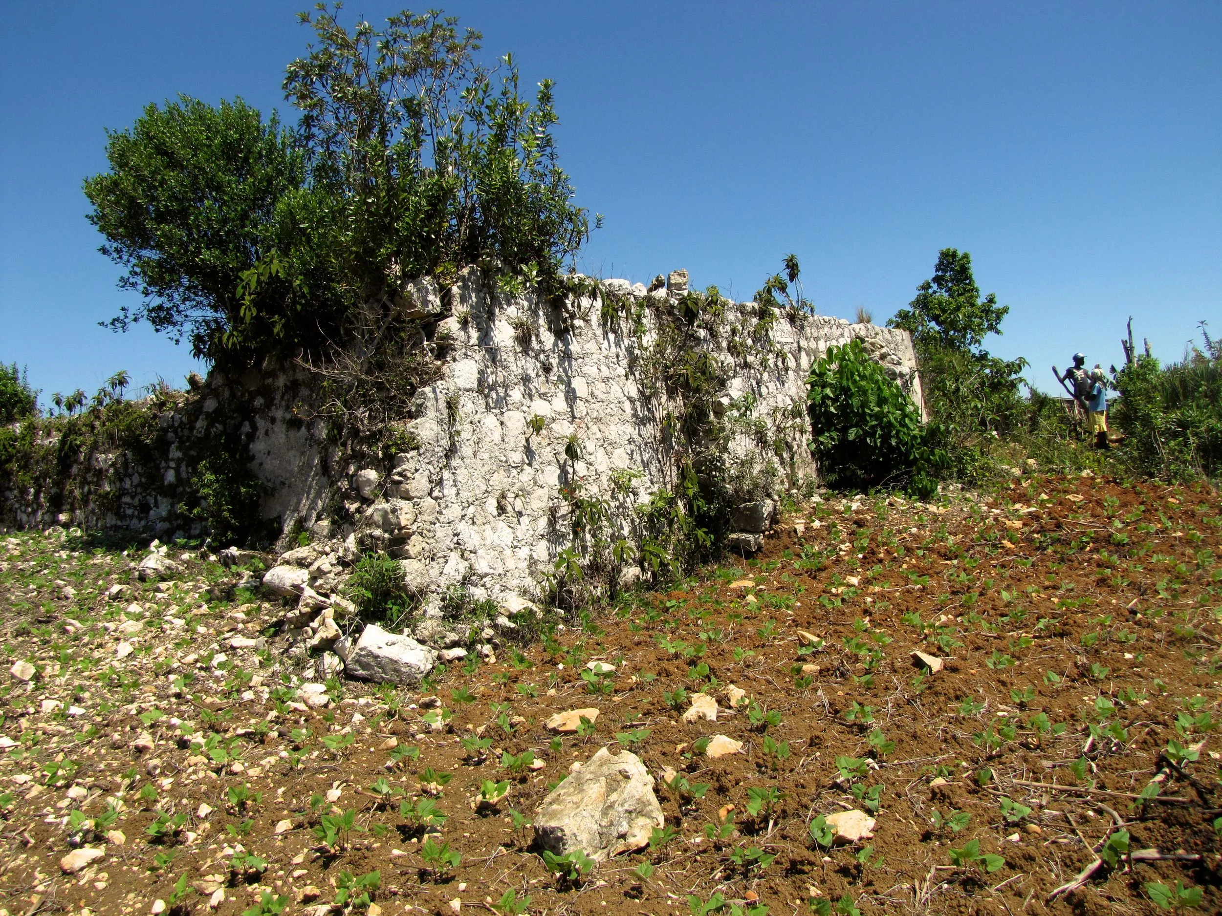 IMG_3969.jpg