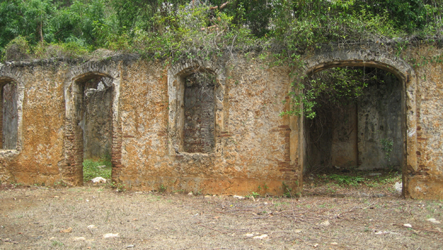 image4.jpg