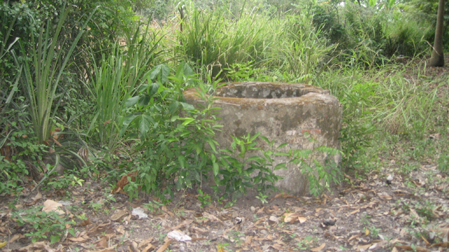 image2.jpg
