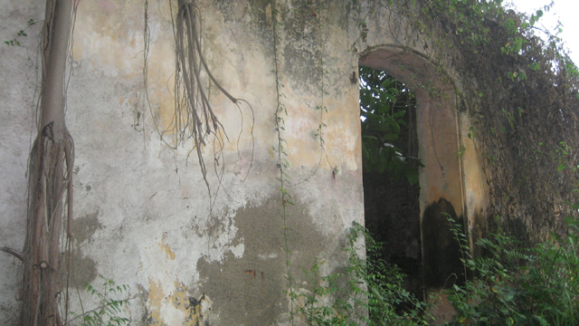 image5.jpg