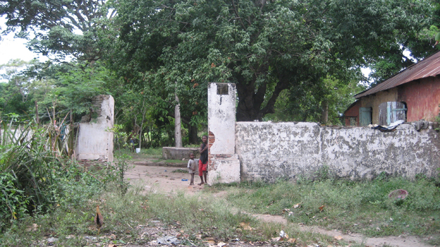 image6.jpg