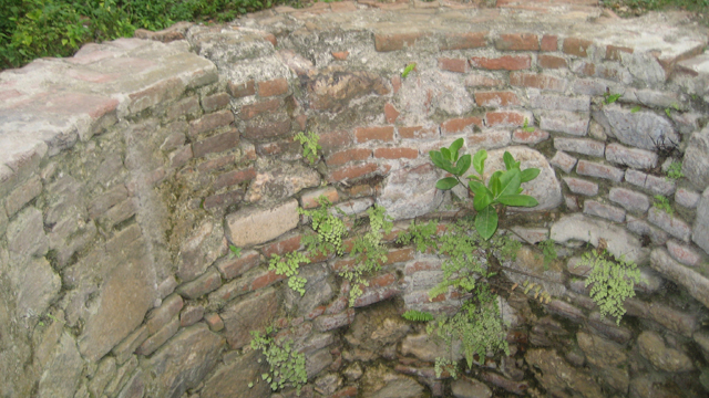 image10.jpg