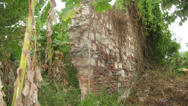 image8.jpg