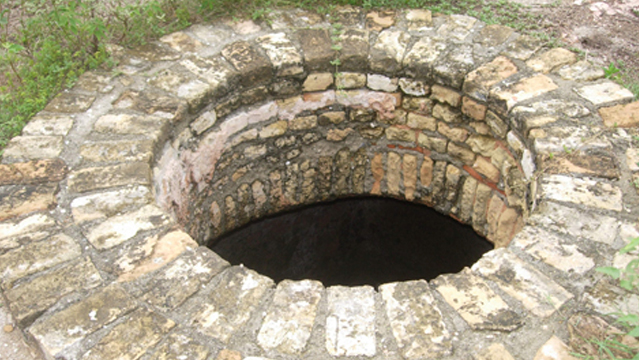 image11.jpg