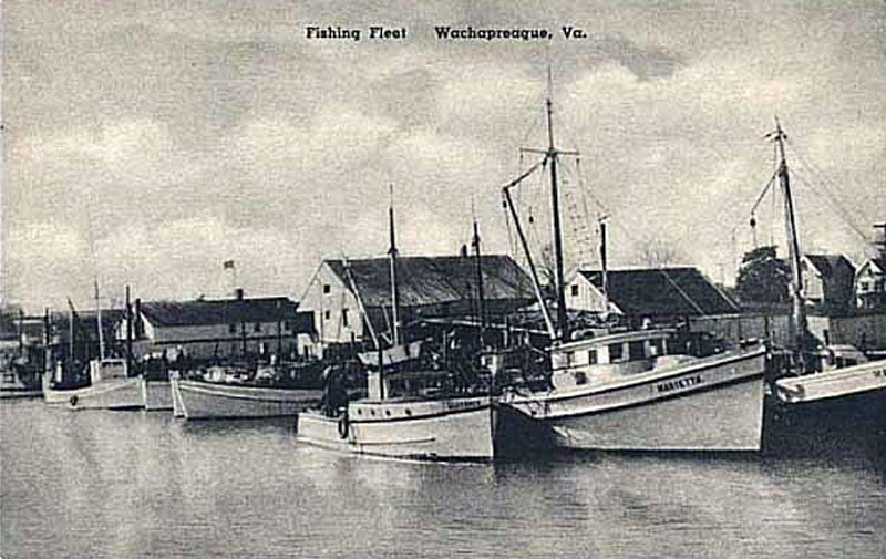 Wachapreague commercial fishing fleet