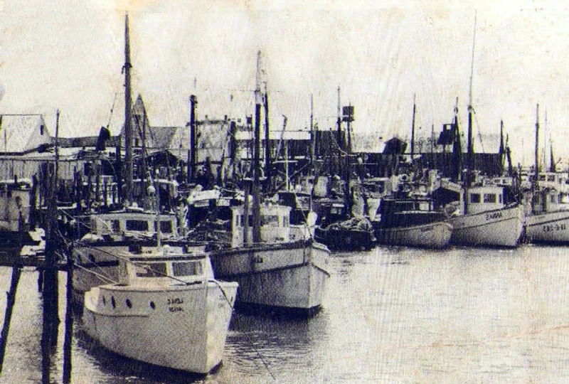 FishingFleet2.jpg