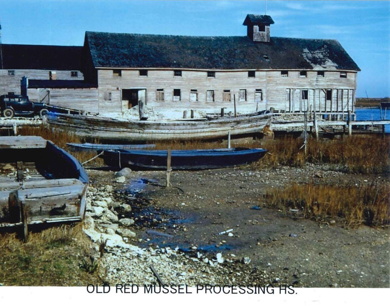 Old Red Mussel Processing House