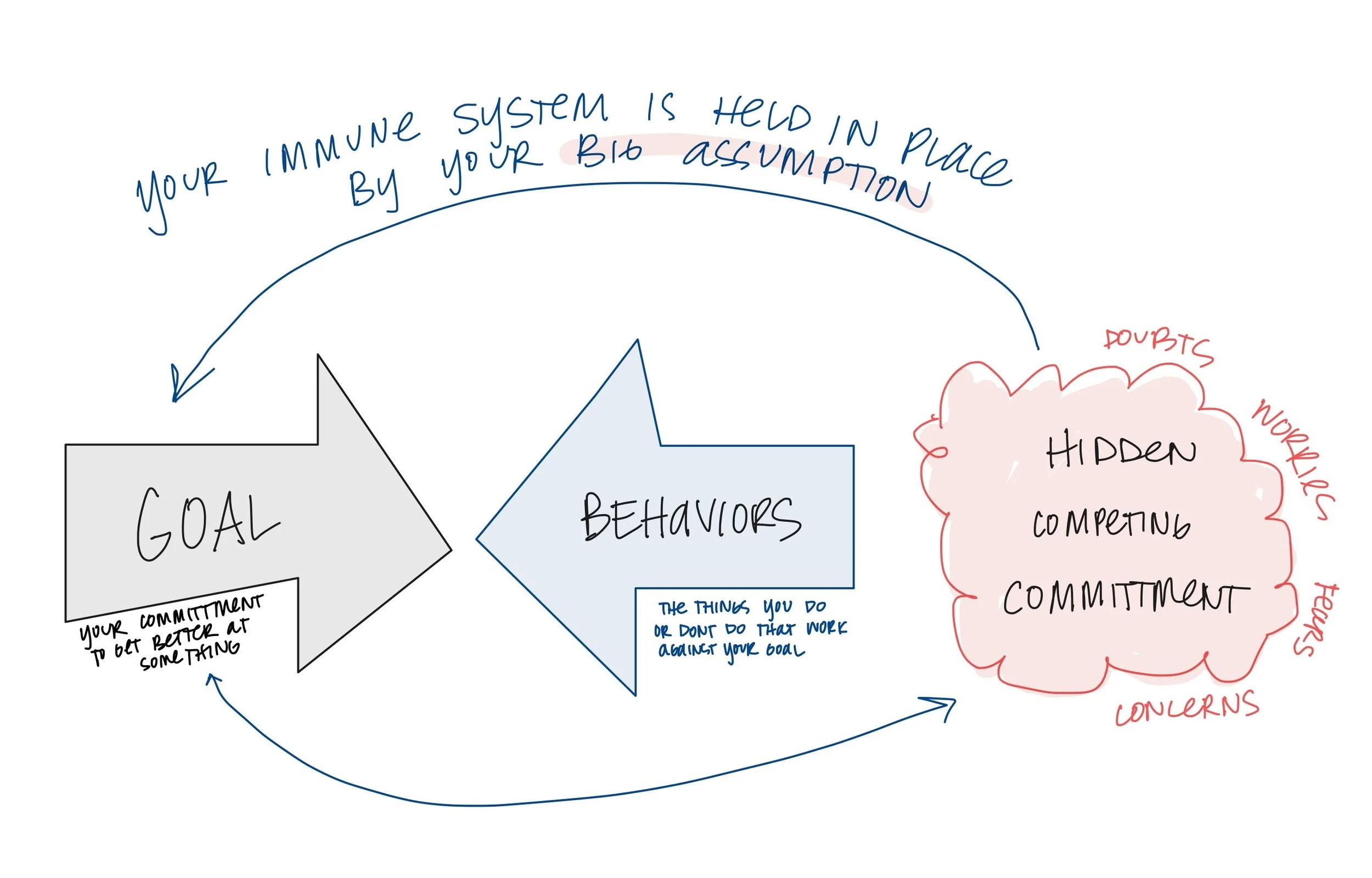 diagram of your psychological immunes system