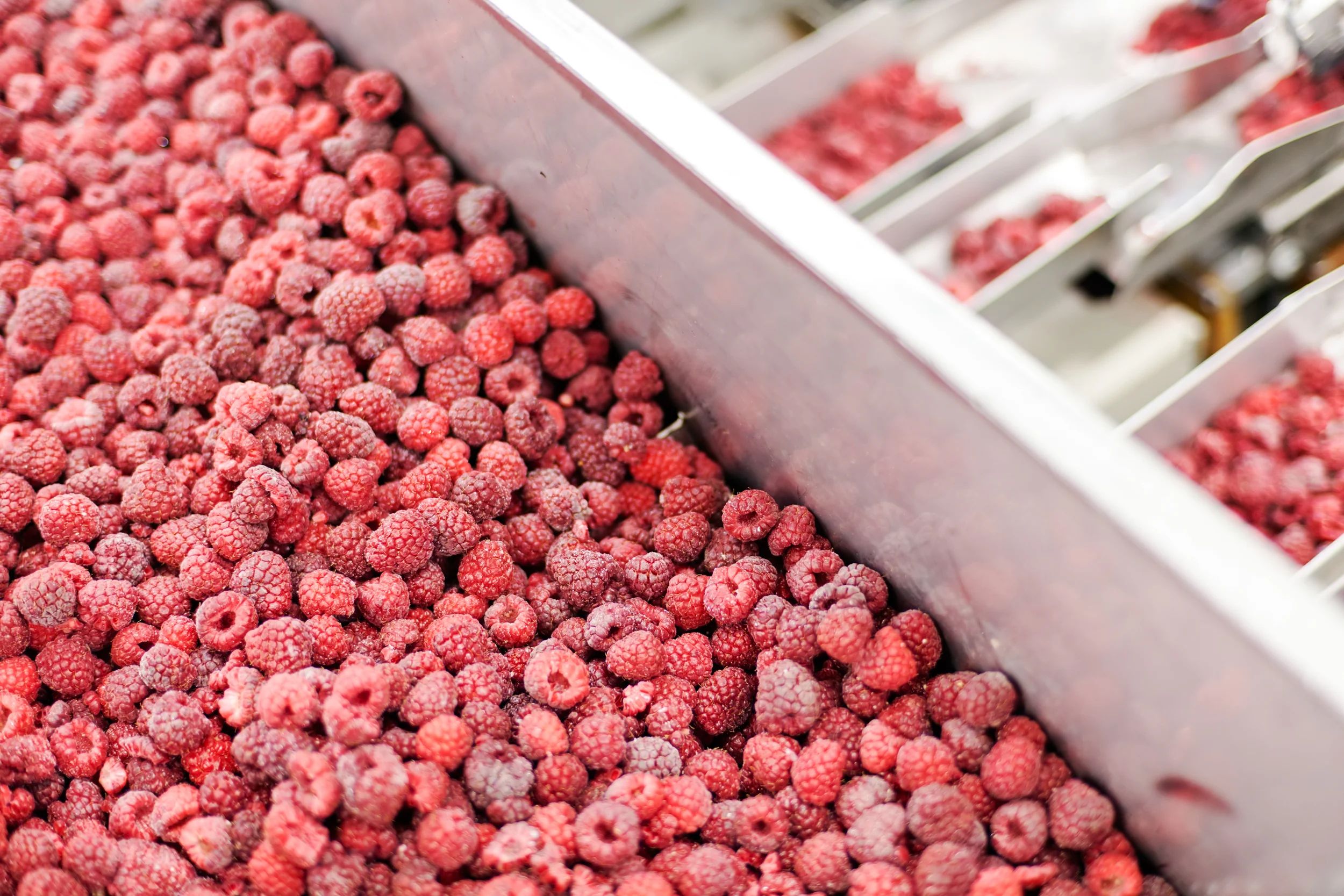 bigstock-Frozen-Raspberry-Processing-Bu-78886643.jpg