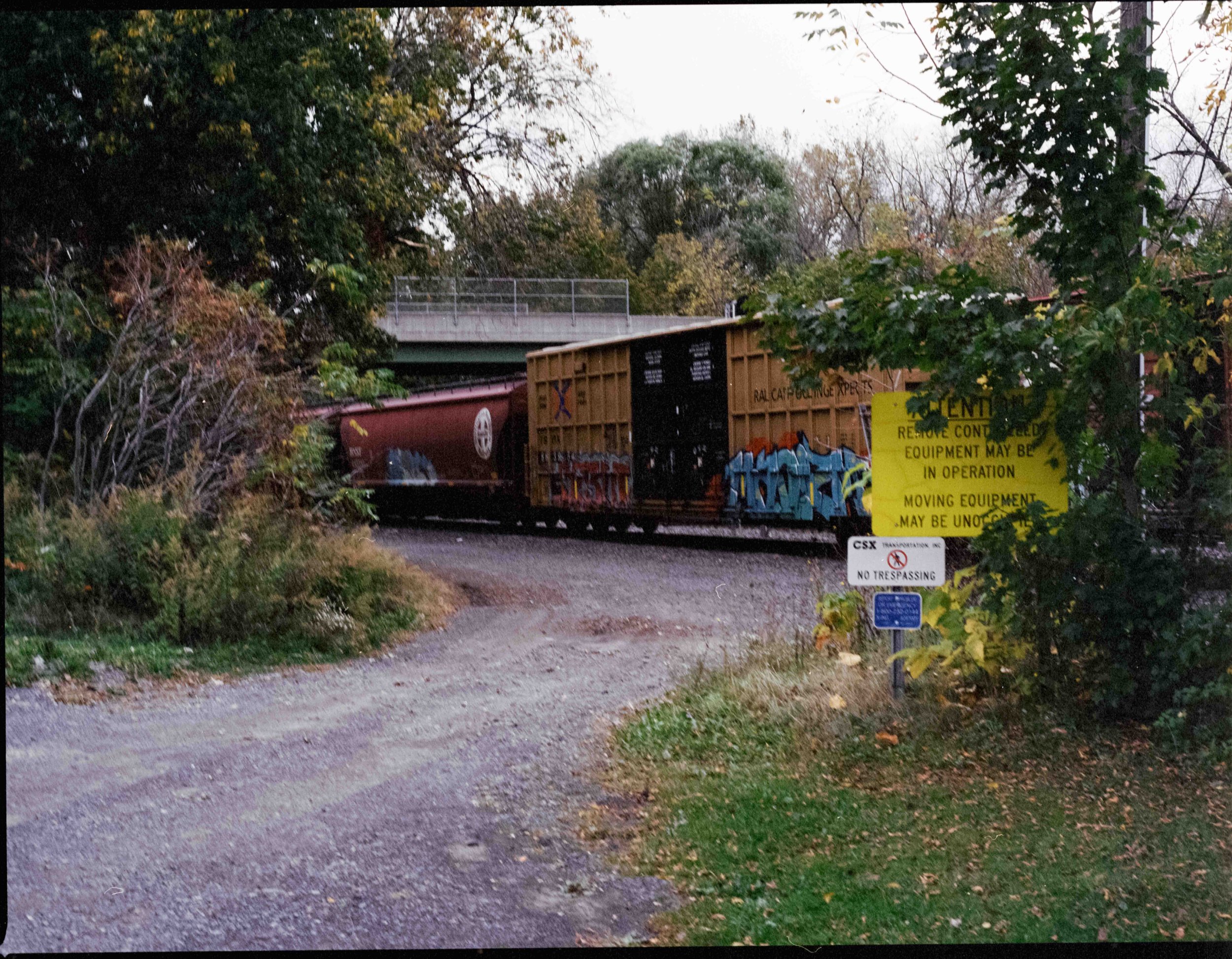 raw0007-2-2.jpg