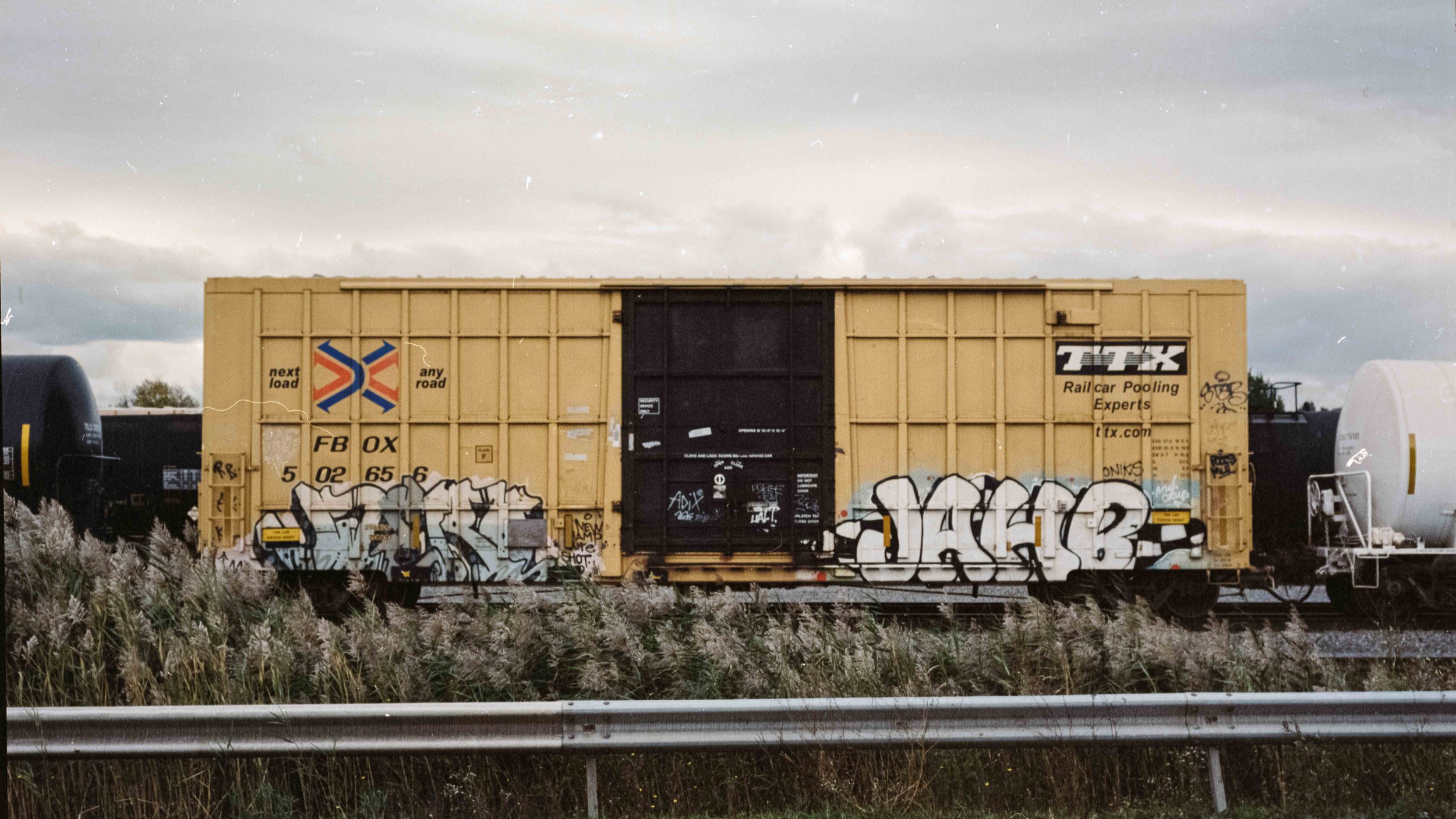 raw0003-positive.jpg