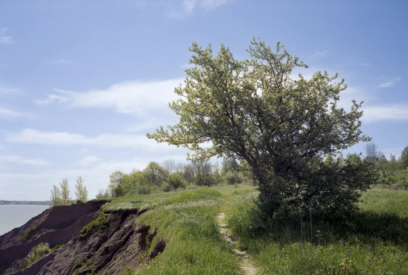 Image (4)-positive-Edit-Edit.jpg