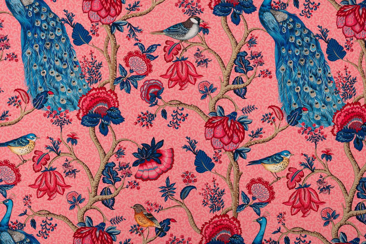 2650603-ALEXANDRA-FOND-ROSE-PERCALE.jpg