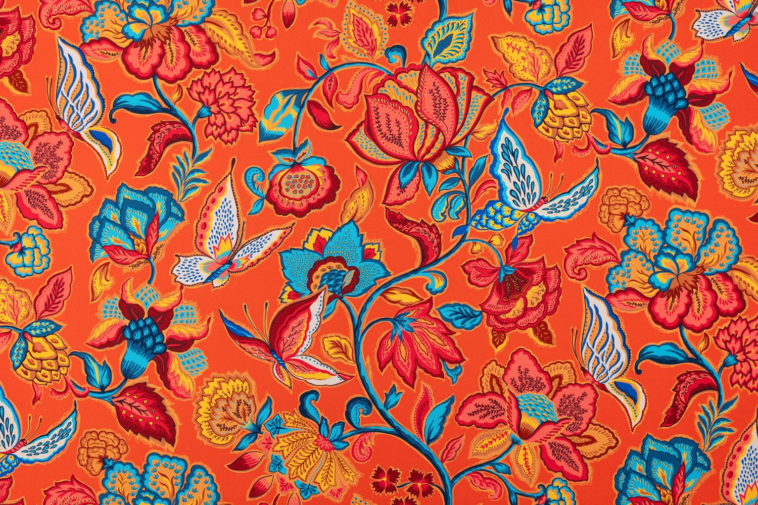 2667603-TIMELINE-FOND-CORAIL-PERCALE.jpg