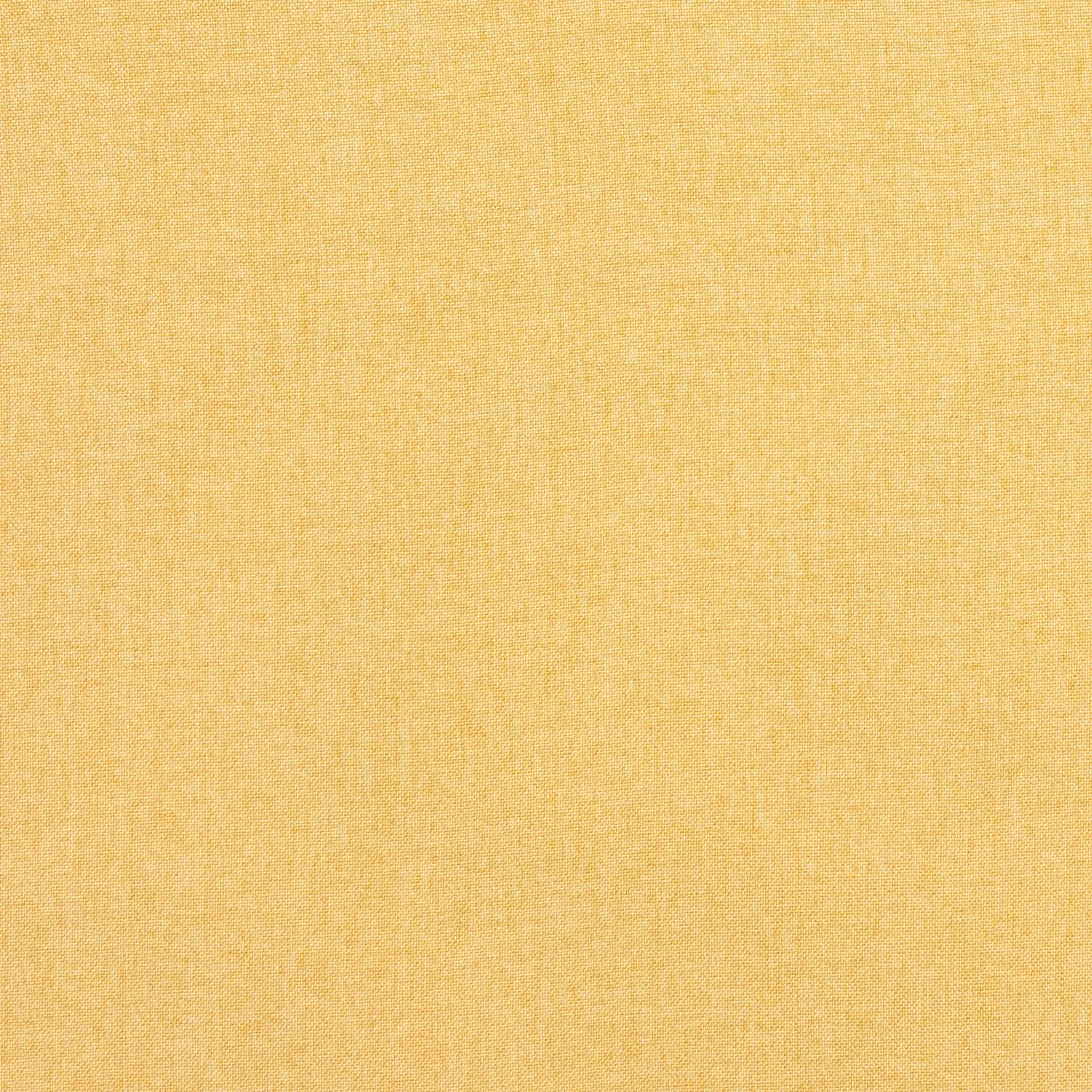 2743619-GROOVE-RECYCLE-MIMOSA.jpg