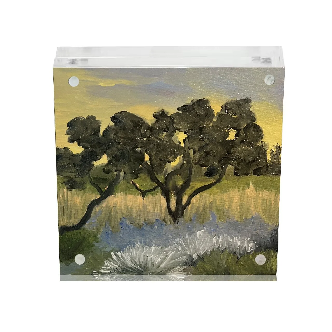 Loving these tiny acrylic frames with mini prints, what&rsquo;s your take, so good or no good?!!!