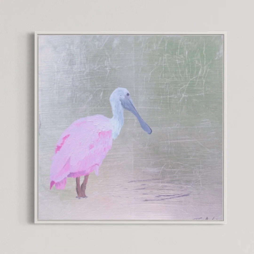 Spoonbill (3) 12x12"