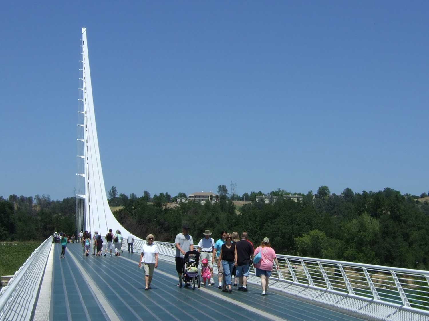 REDDING_1500L.jpg