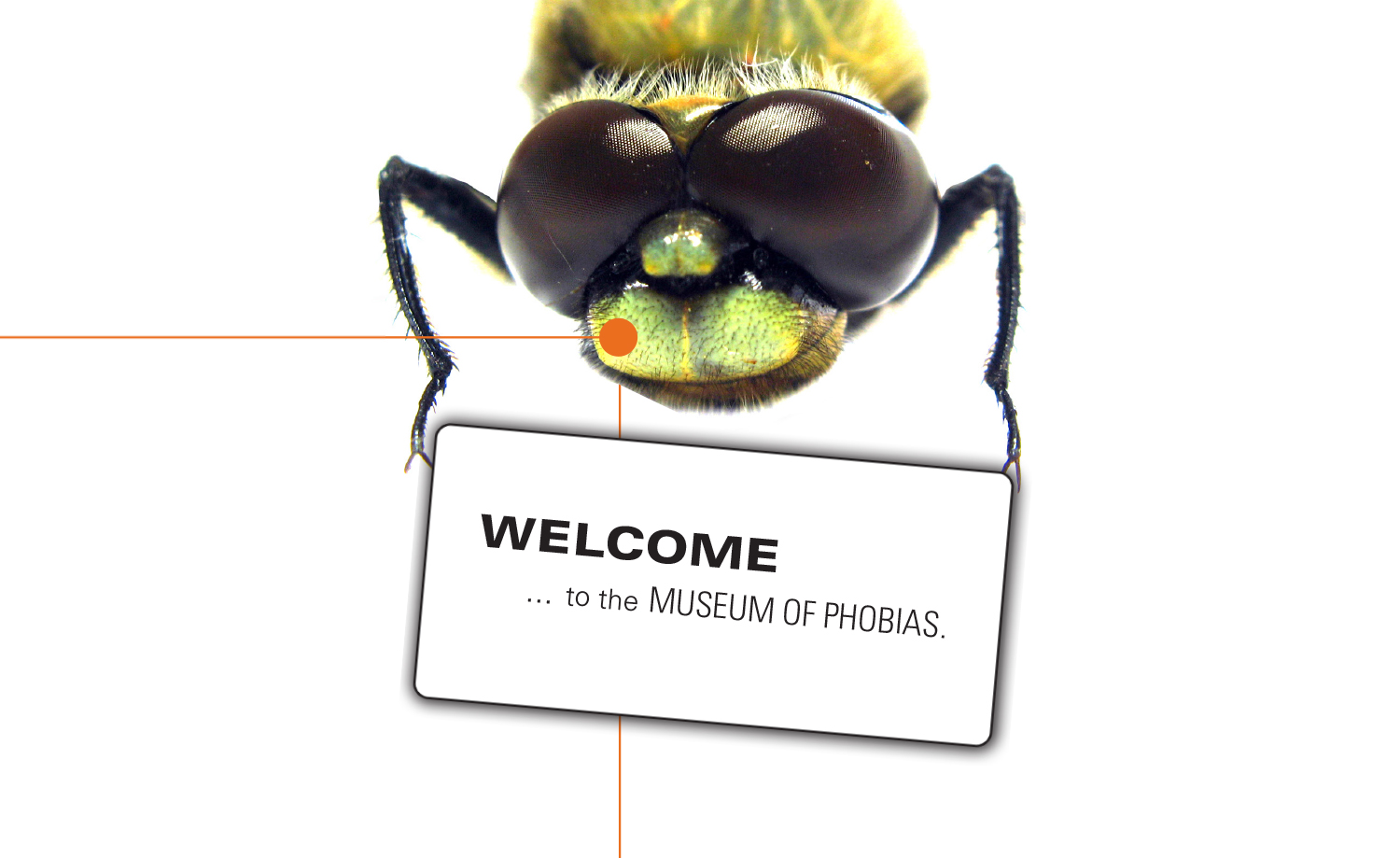 Welcome to the Museum of Phobias