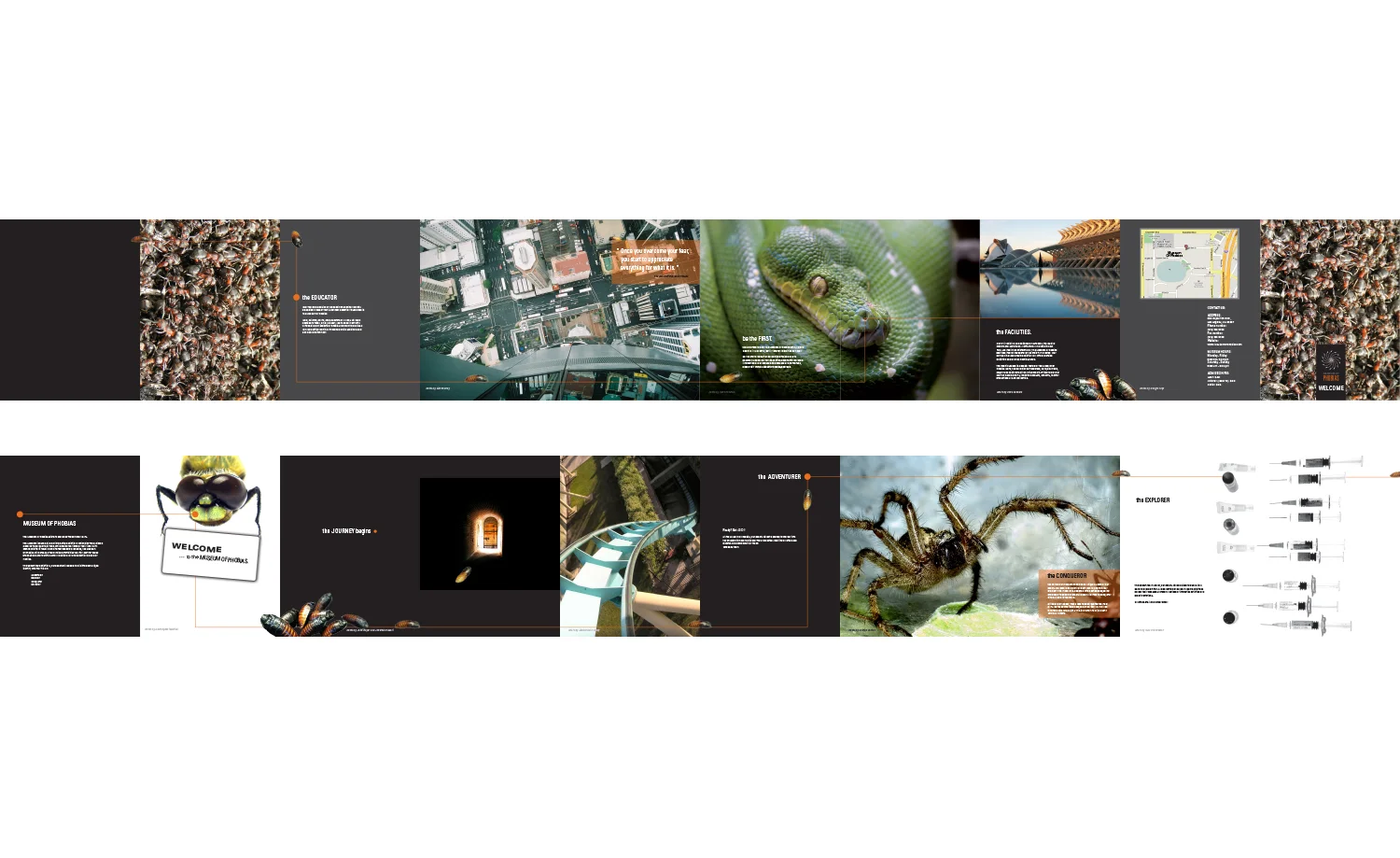 Museum of Phobias Collateral Overview