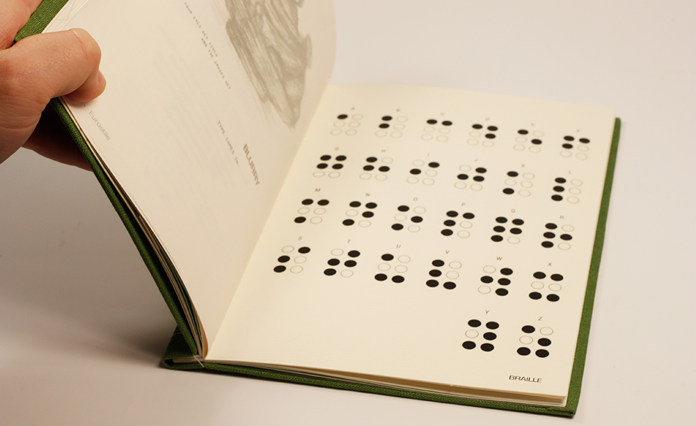Curiosity of Type and Image Braille