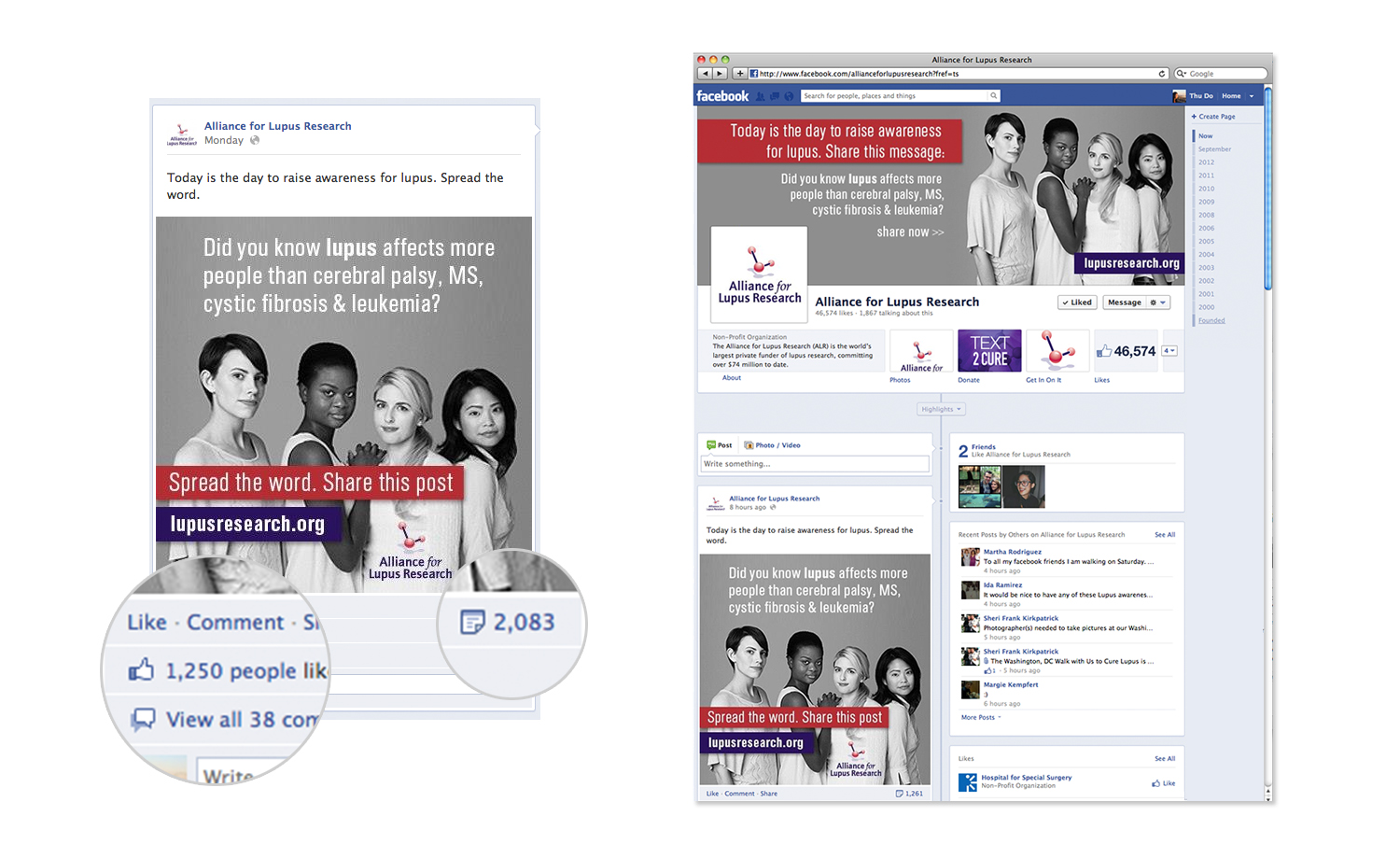Alliance for Lupus Research Social Media Campaign Facebook