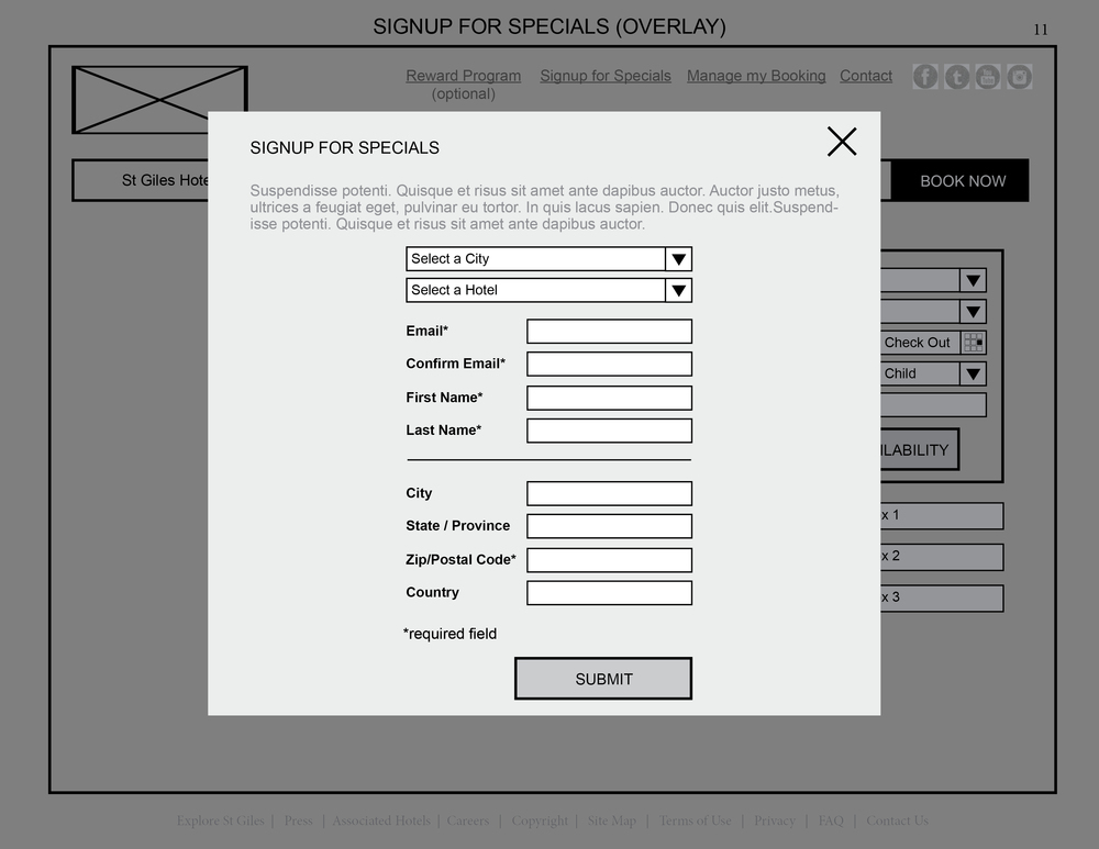 011314_SG_Website_Wireframe_GlobalLevel11.jpg