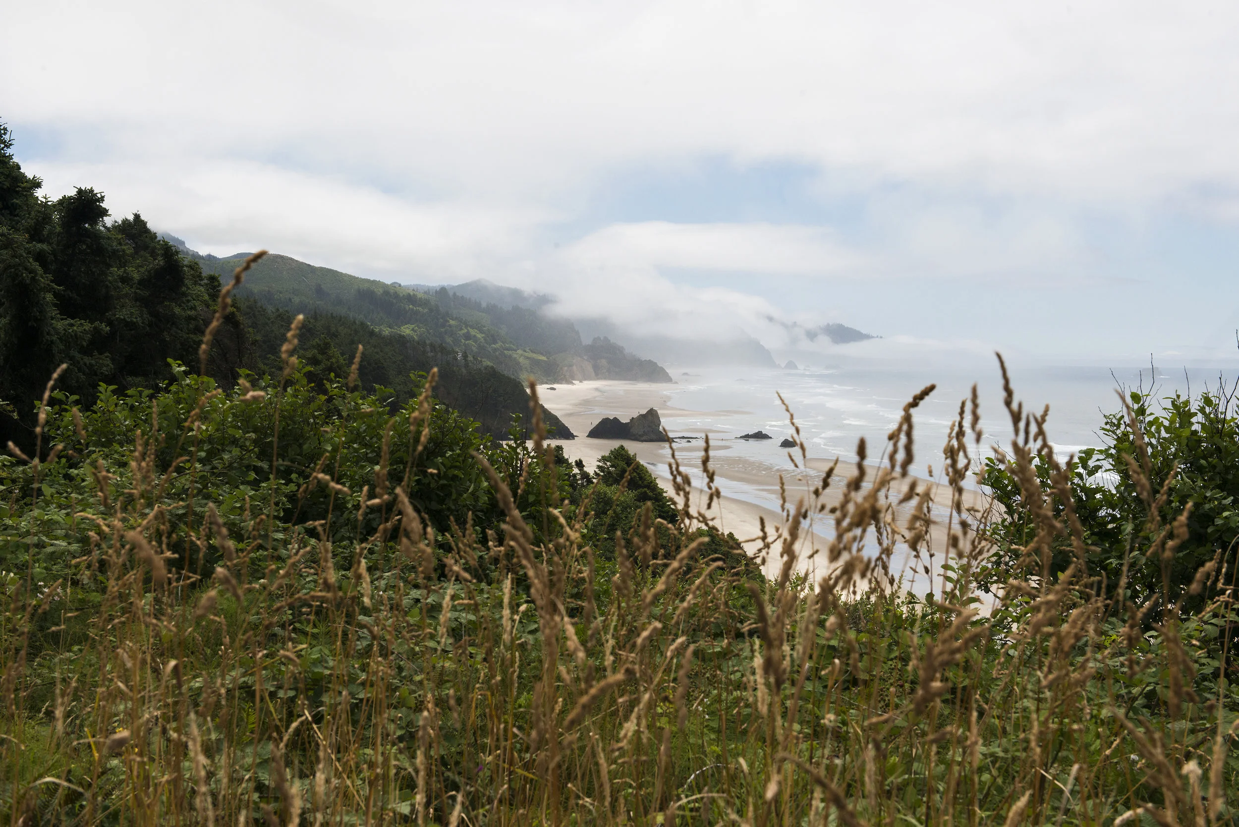 Scenic Oregon Coast