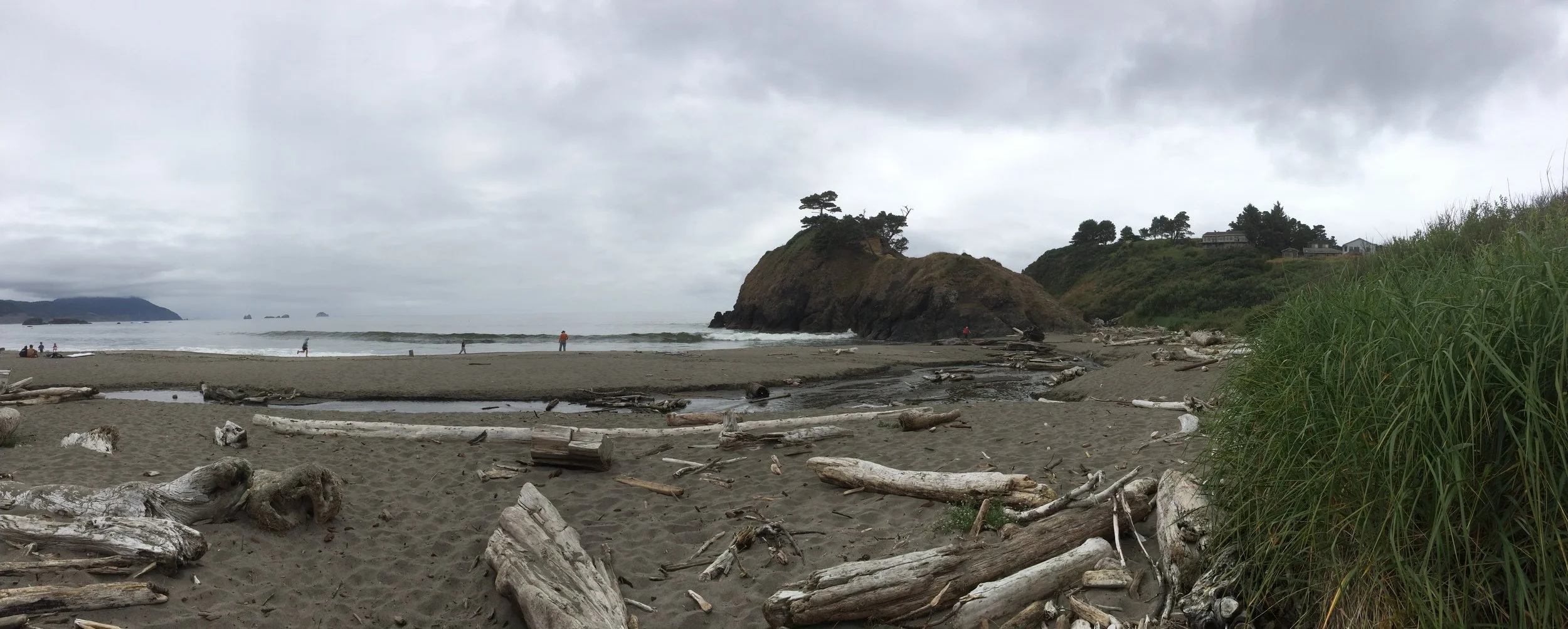 Panorama. Loved all the driftwood!