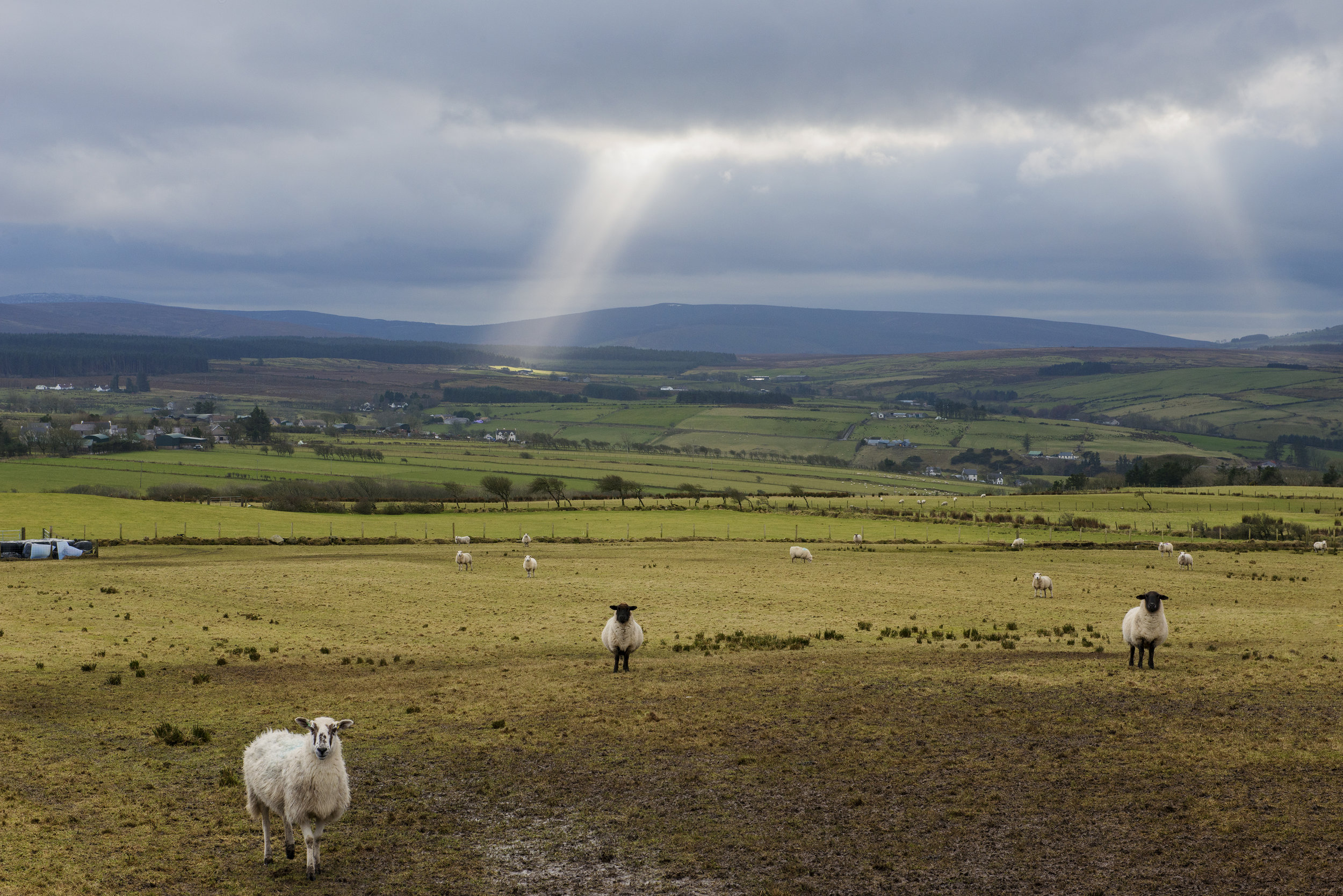 View from a hillside, N Ireland