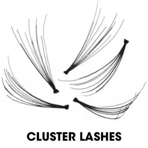 Example of pre-made fans used in Cluster Lashes. Source: Bella Blog