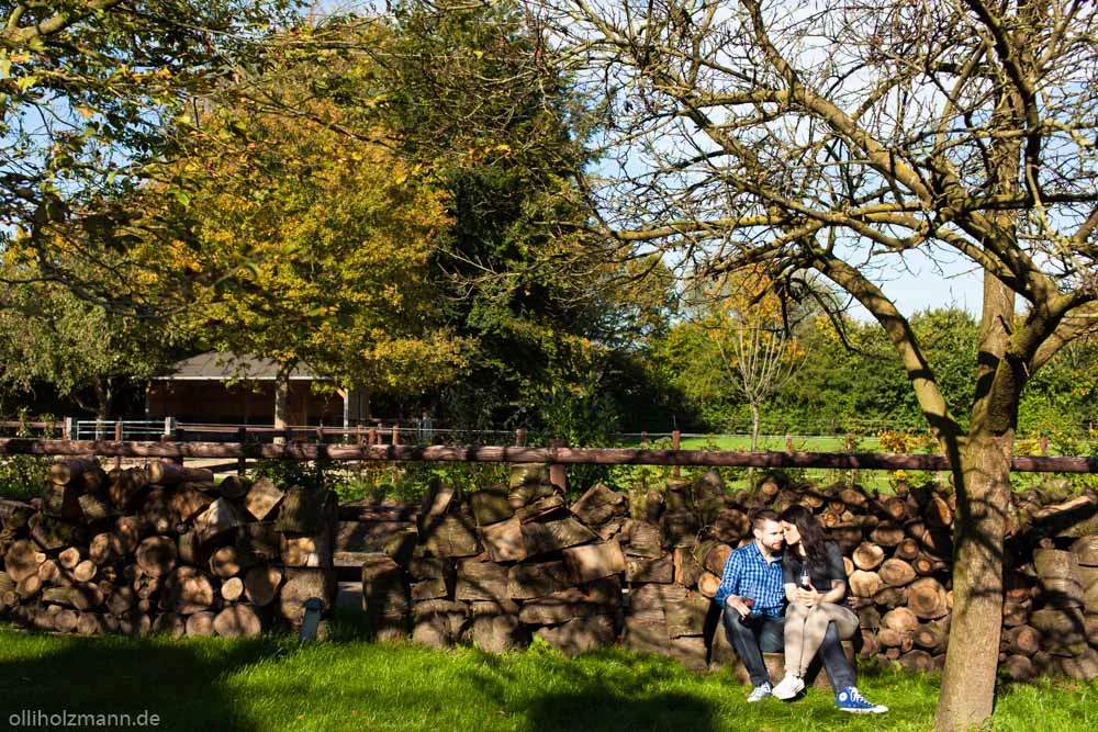 Oktobersonne in Sonsbeck