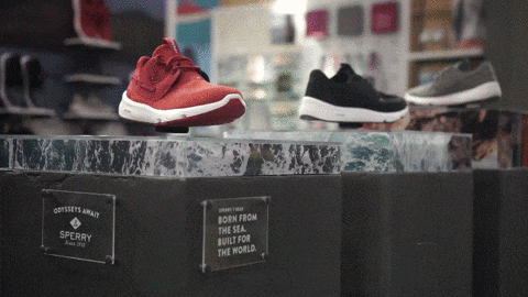 sperry-magnets_30-small-iloveimg-compressed.gif