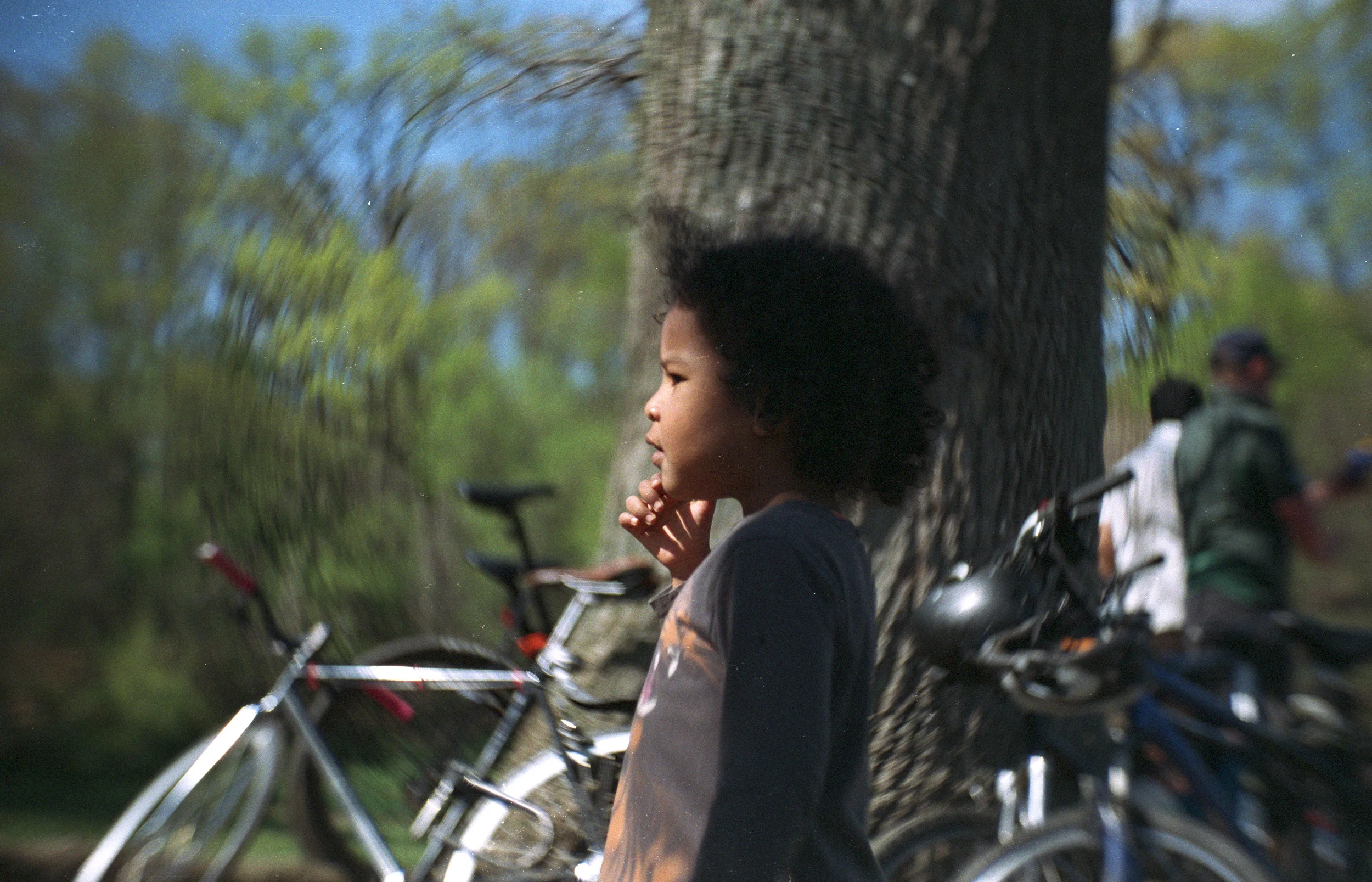 017_1.jpg