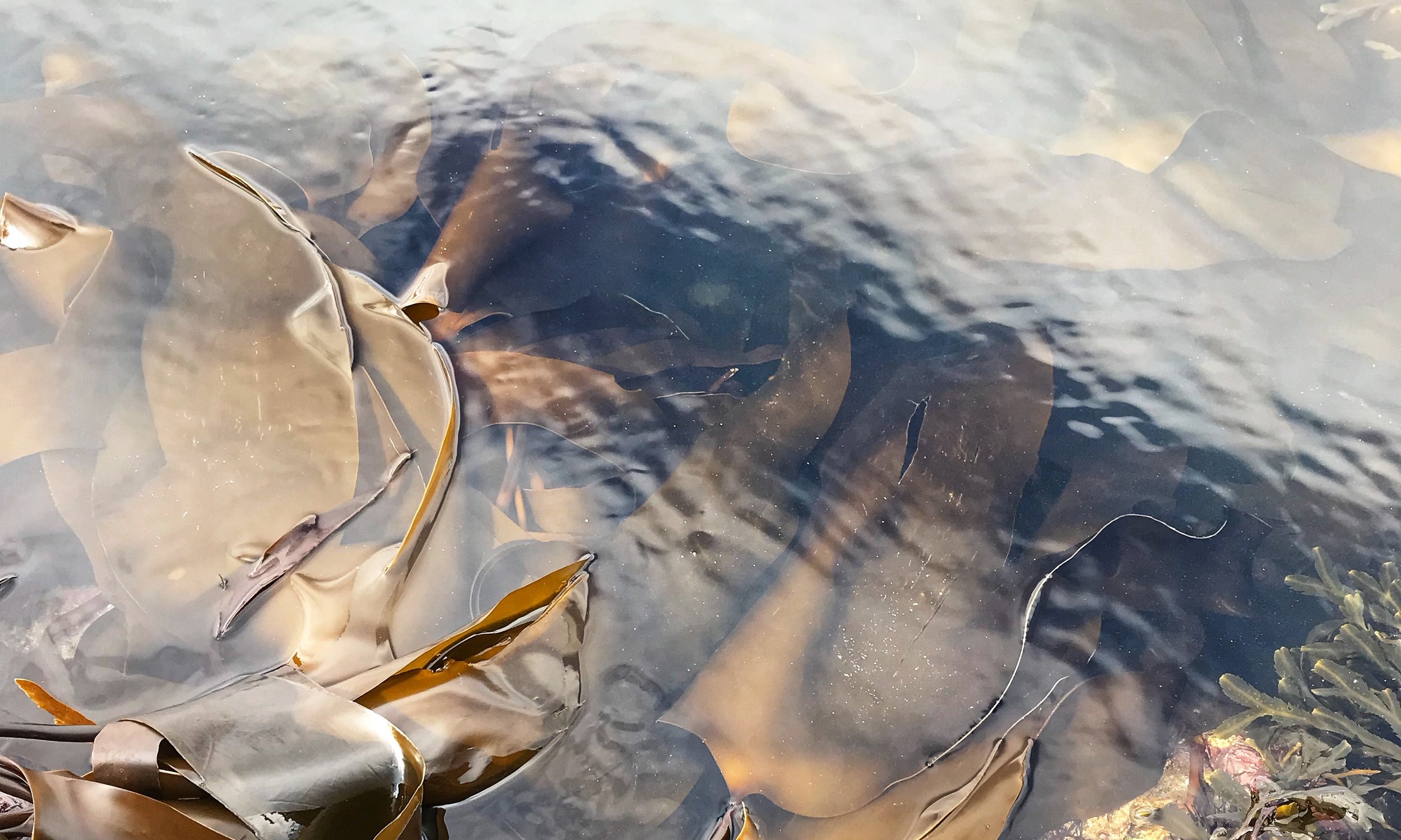 Attachment-1 (10).jpeg