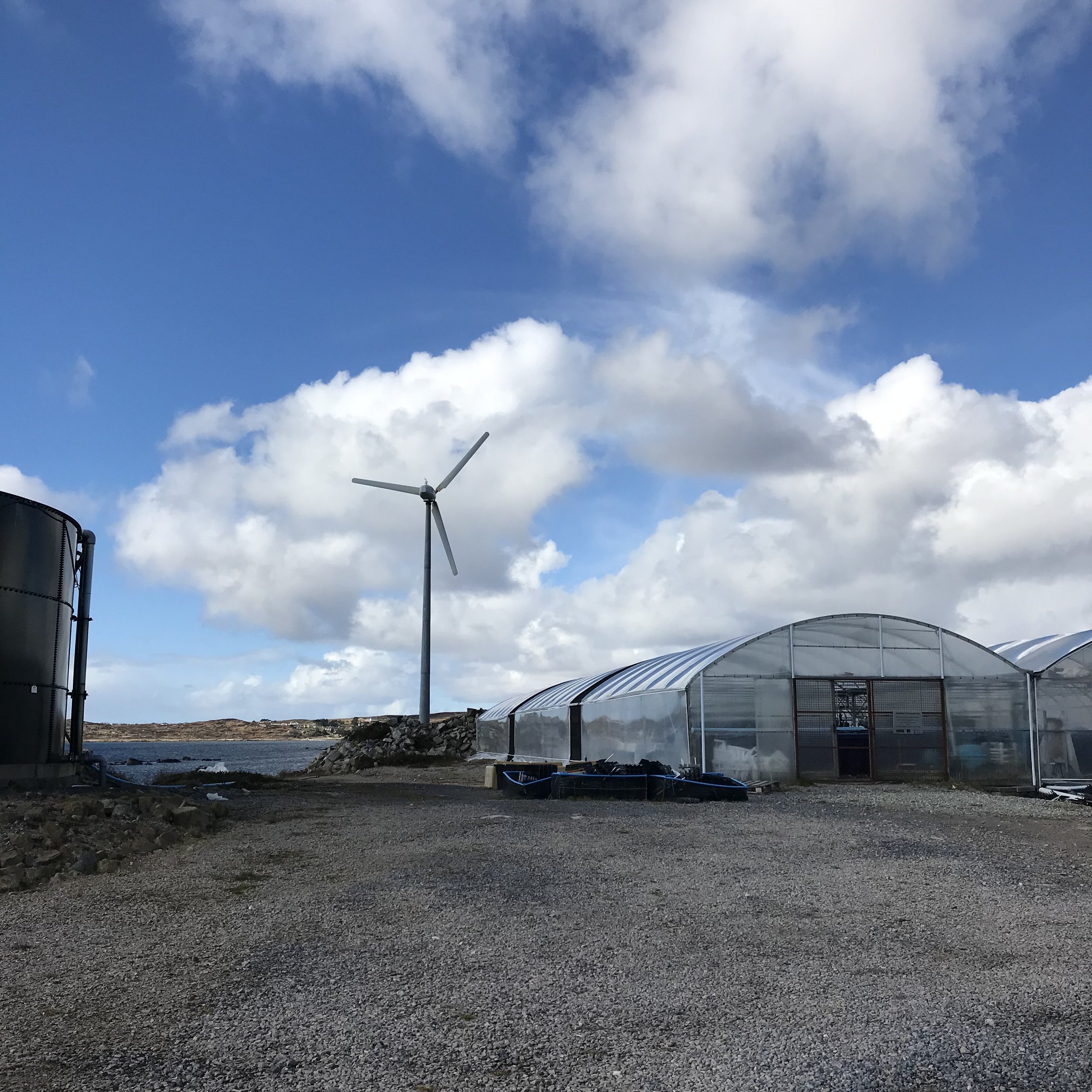 Abalone Farm