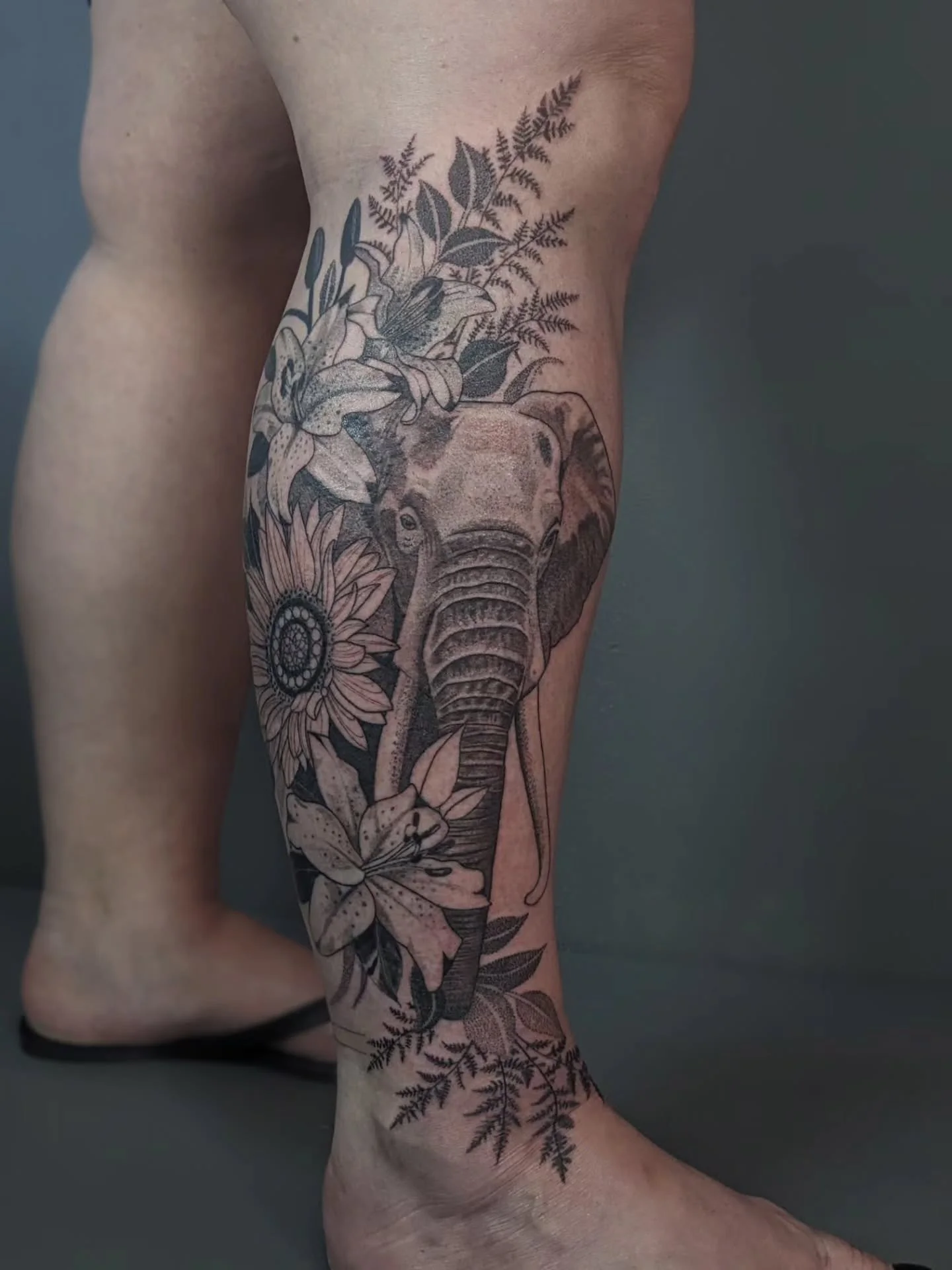 Did a second pass on Colleen's floral elephant. Added the ferns, finished the sunflower, and did some tonal shading/contrast pushing. Part healed and part fresh. 
.
#elephanttattoo #blackandgreytattoos #fineline #botanicaltattoos #calftattoos #female
