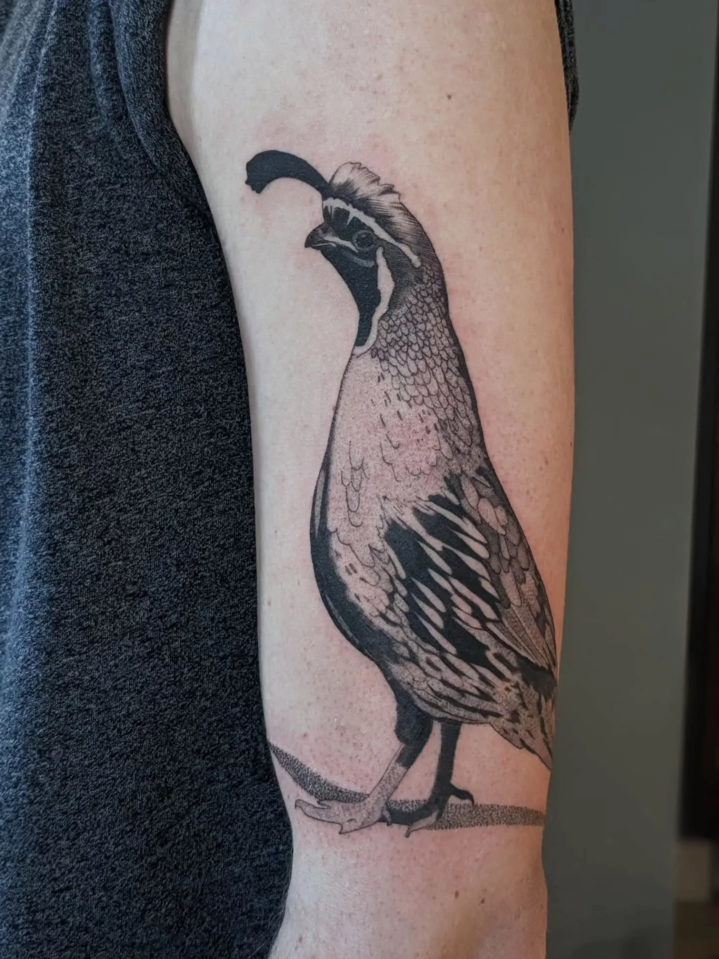 Gamble Quail (from Arizona) for a chill dude who is moving to Arcata. If any Humboldt homies spot Trevor Hurd and his quail, say hi. 
.
2.5 hours on this lil guy, easy peasy 
.
#blackngrey #gamblequail #birdtattoo #ilovebirds #quail #illustrativereal