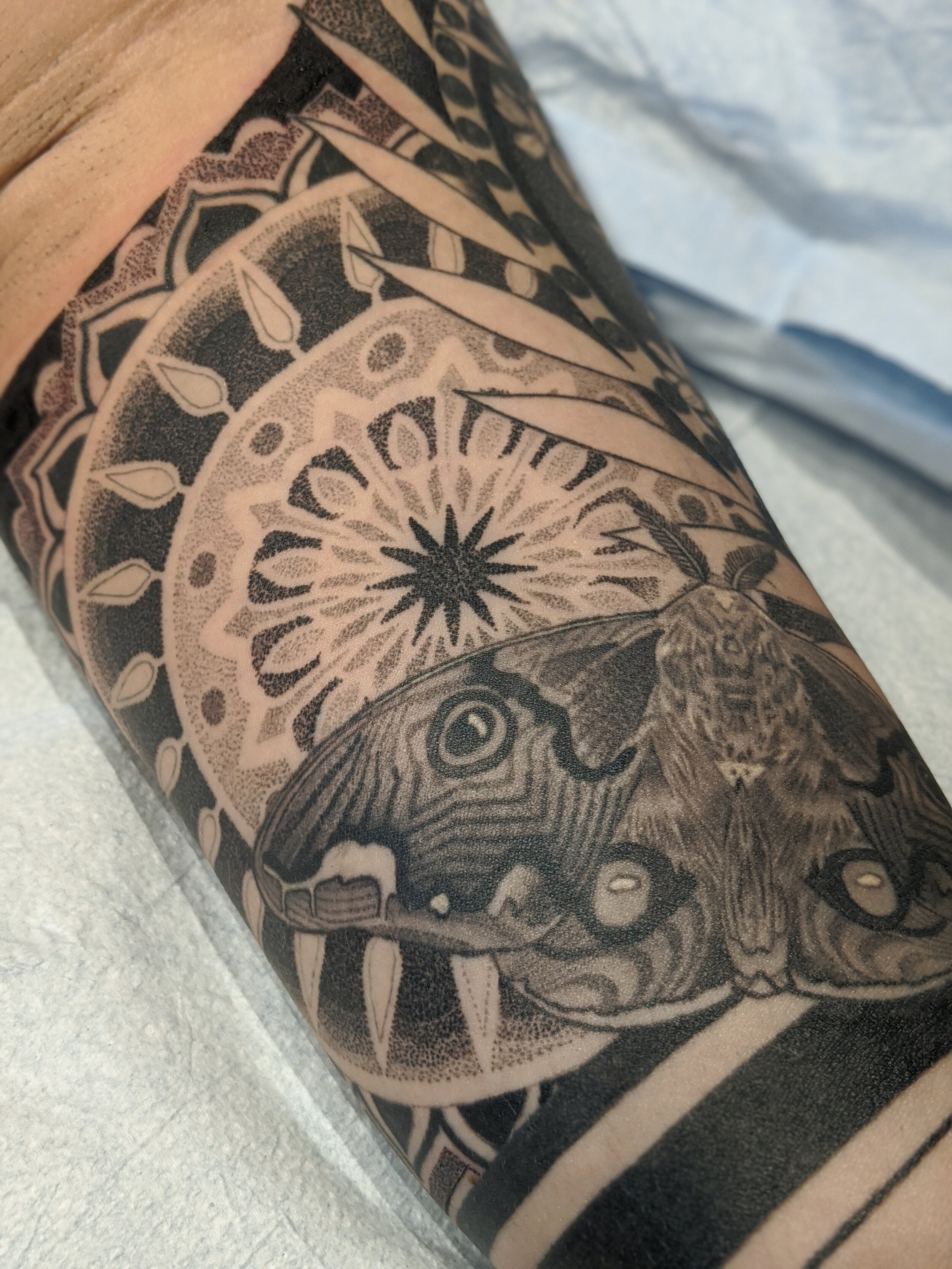 Santa Cruz Ink Tattoo Studio santacruzink on Instagram