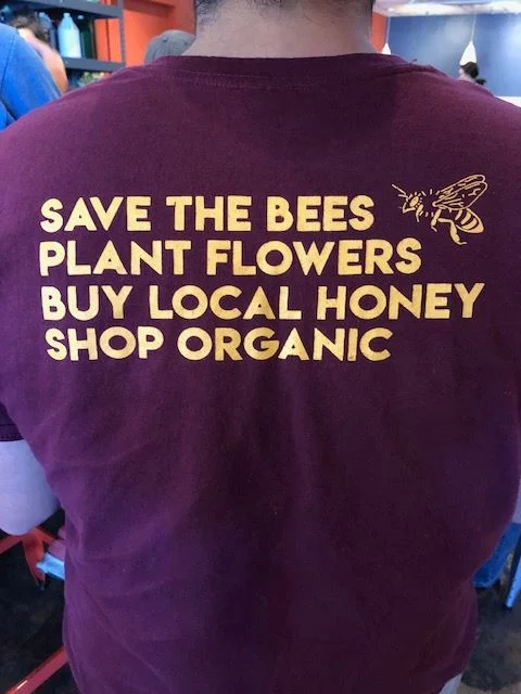 National Honey Bee Day