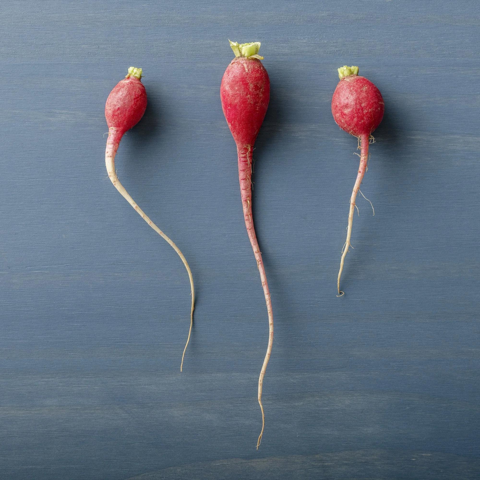 3Radish_Etsy.JPG