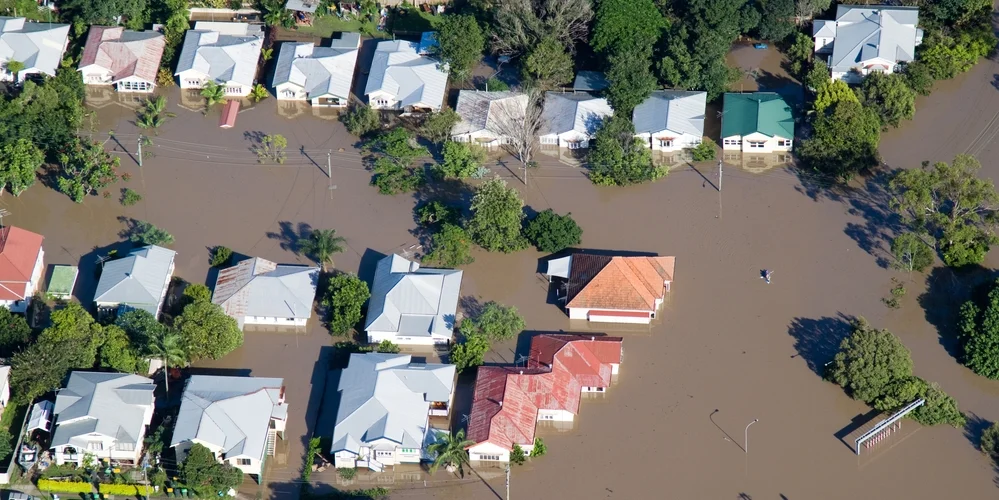 Website - Flood Photo.jpg