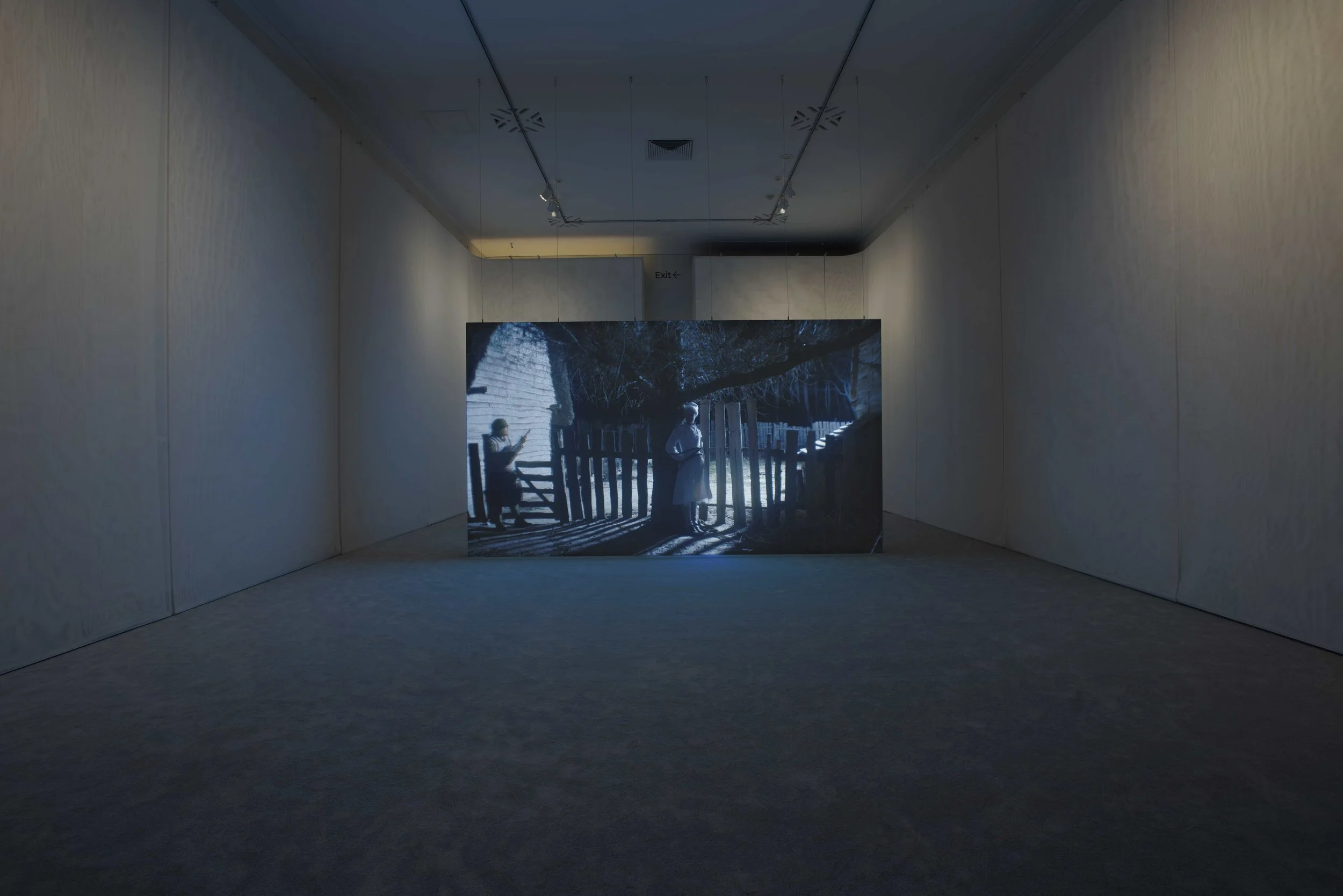 Wil-O-Wisp, Rachel Rose, 2018. Installation view: Rachel Rose, Philadelphia Museum of Art, 2 May - 16 September 2018. Courtesy of the Artist, Pilar Corrias Gallery, and Gavin Brown's Enterprise.