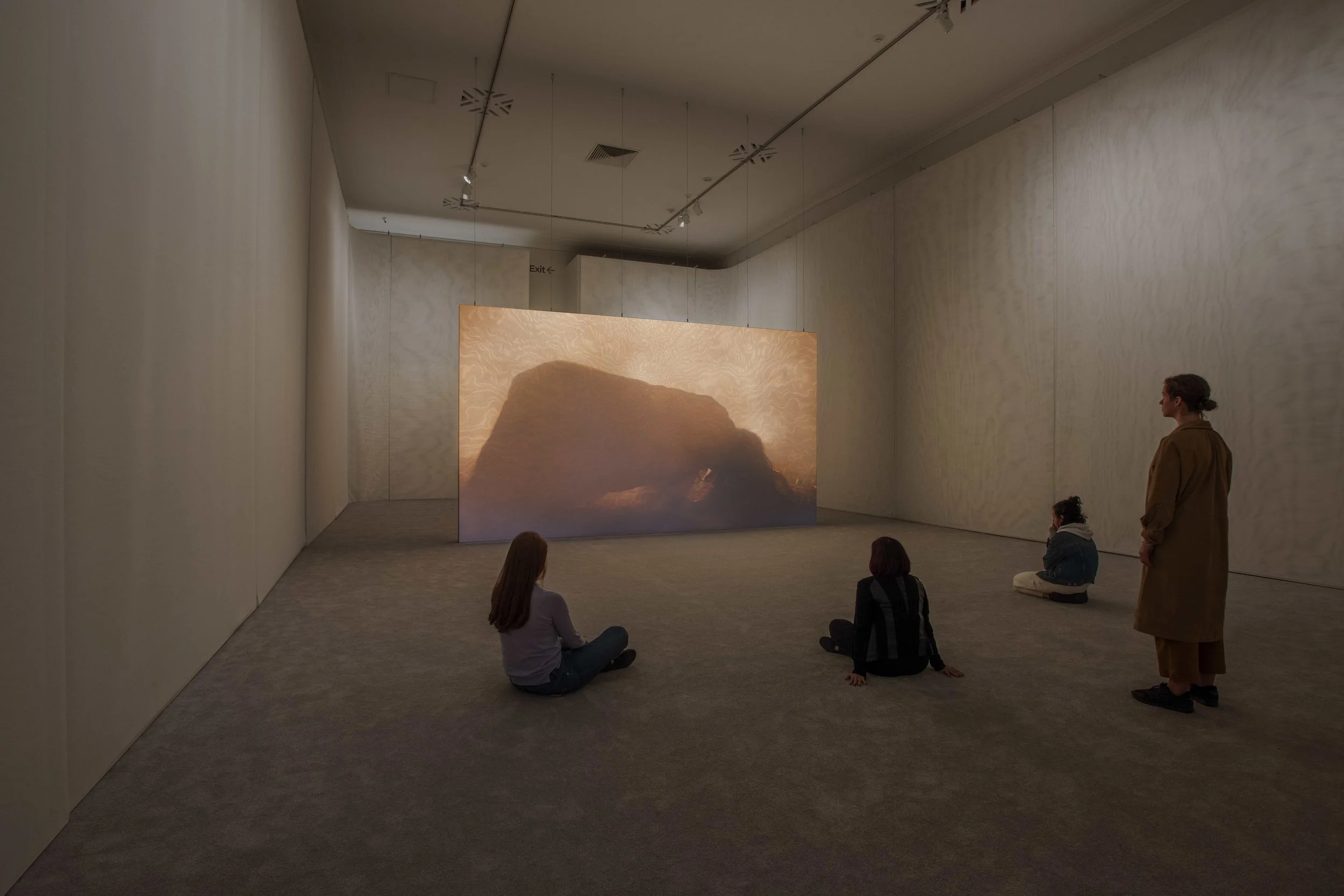 Wil-O-Wisp, Rachel Rose, 2018. Installation view: Rachel Rose, Philadelphia Museum of Art, 2 May - 16 September 2018. Courtesy of the Artist, Pilar Corrias Gallery, and Gavin Brown's Enterprise.