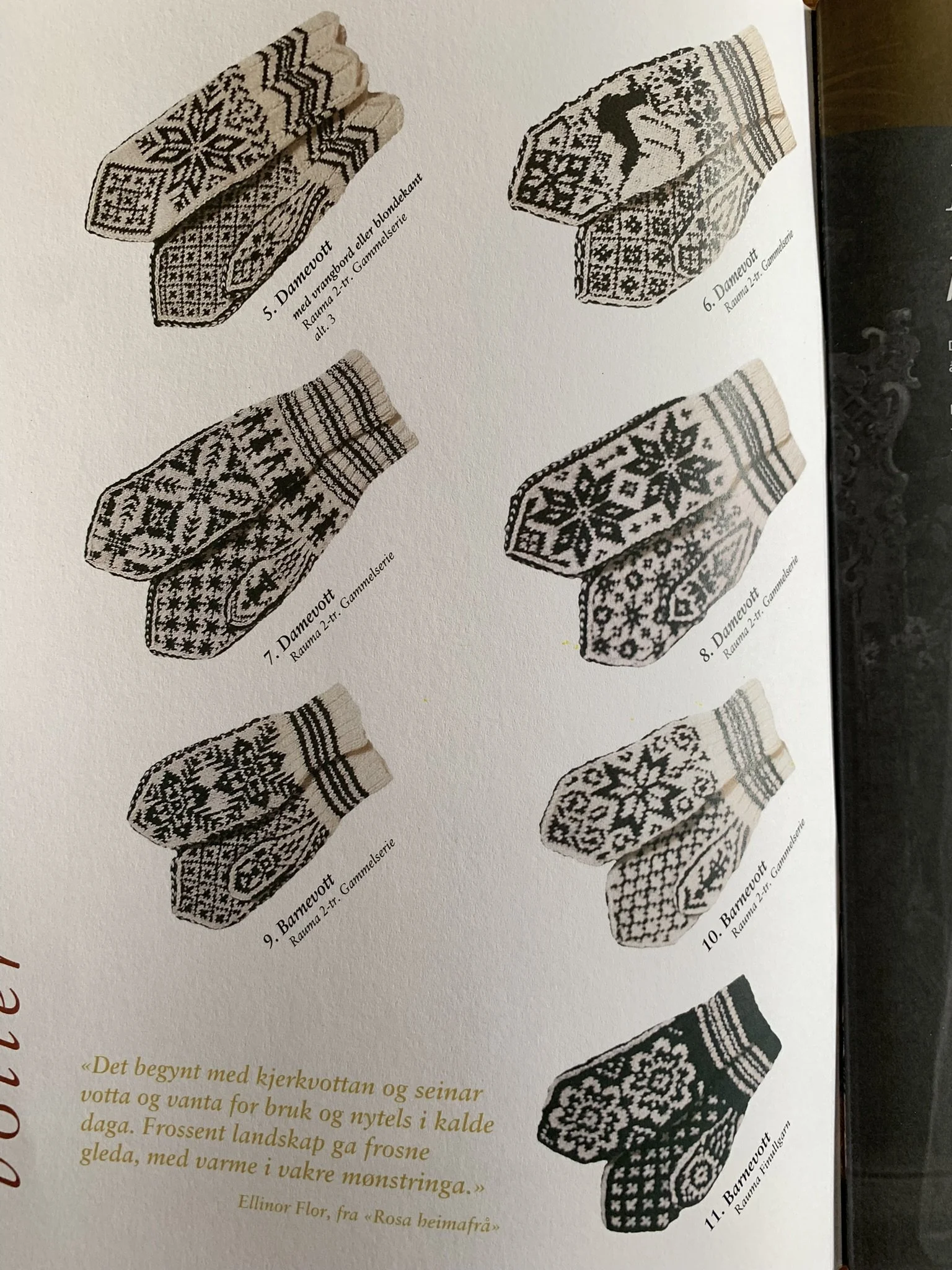 Rauma Pattern LVS-5 no 3.JPEG