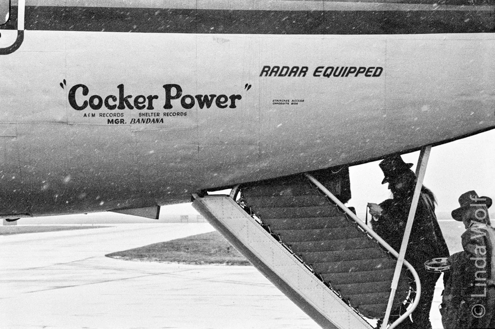 Cocker Power2++-Edit-Edit.jpg