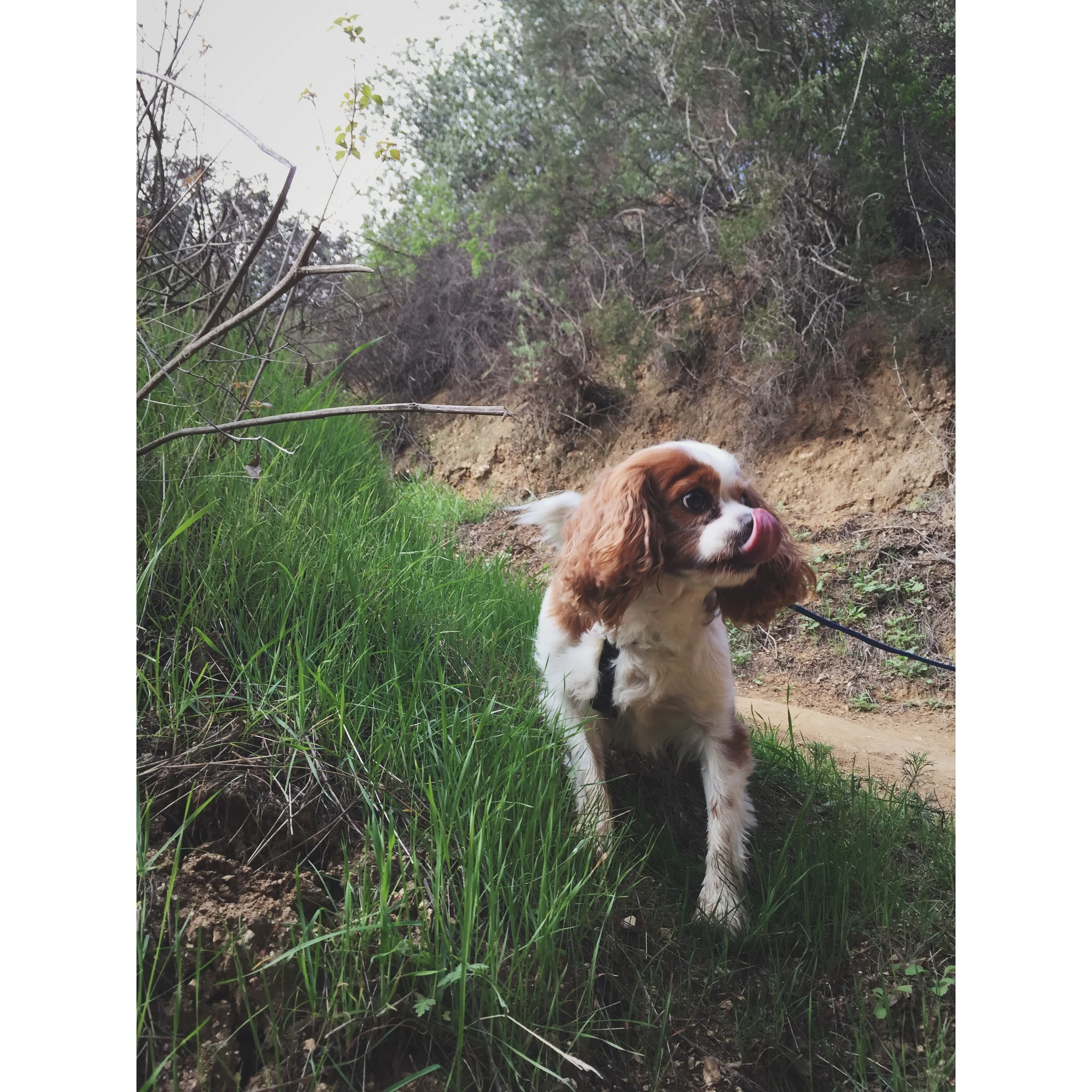 aydenbutton's first hike of 2015